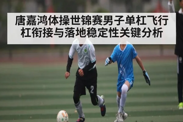 唐嘉鸿体操世锦赛男子单杠飞行杠衔接与落地稳定性关键分析